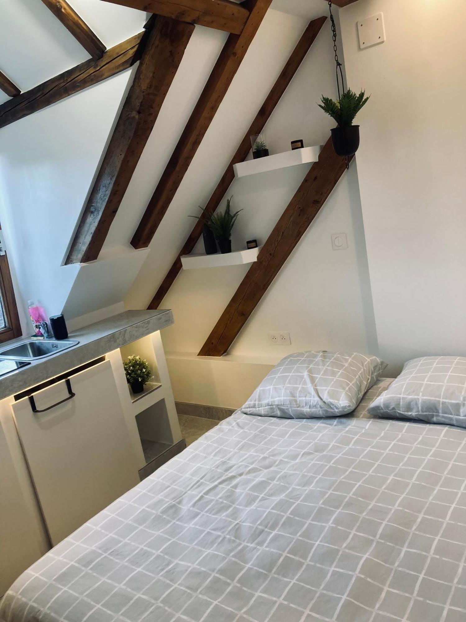 Petit Nid Sympa A Strasbourg Appartement Buitenkant foto