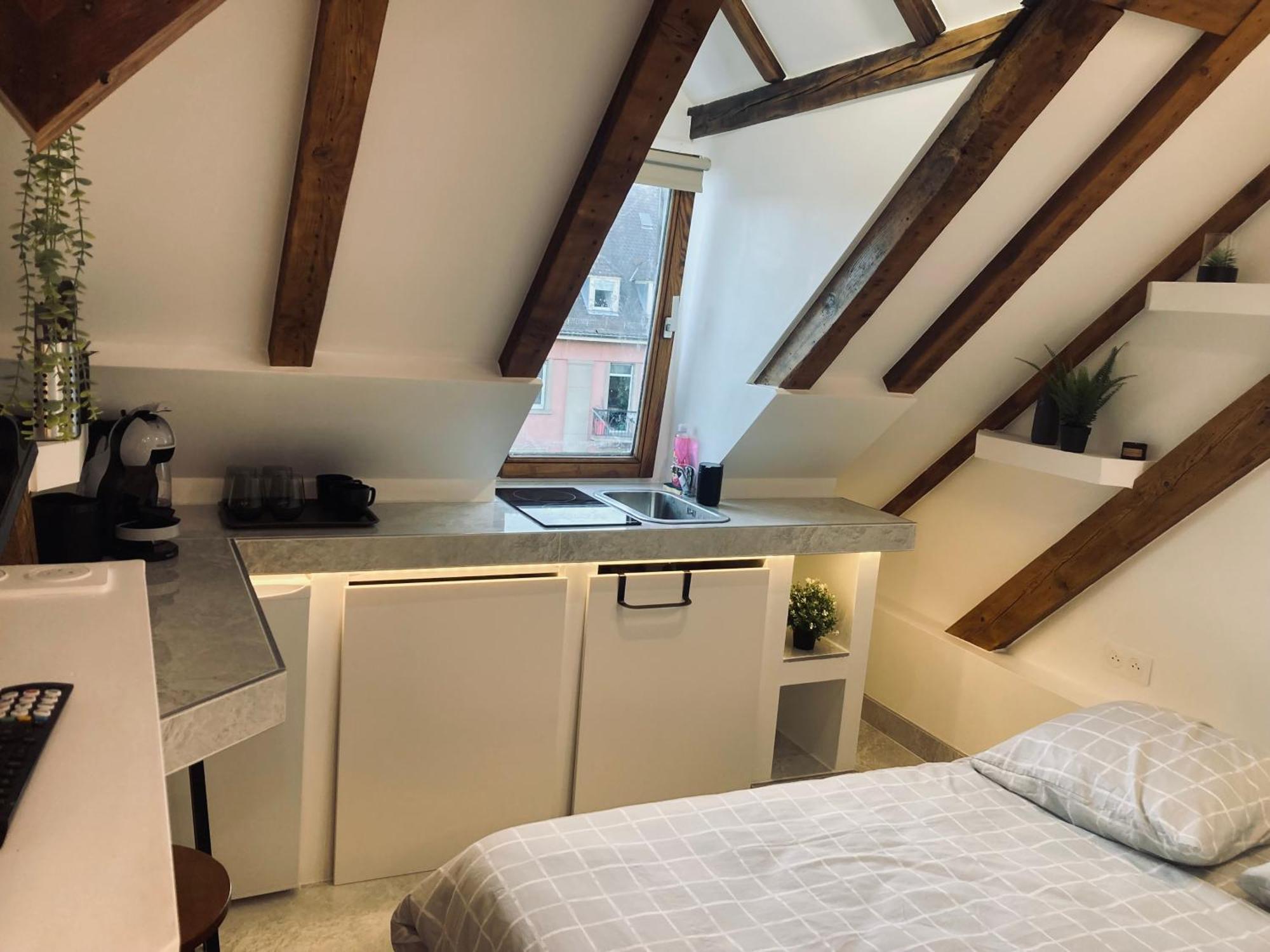 Petit Nid Sympa A Strasbourg Appartement Buitenkant foto